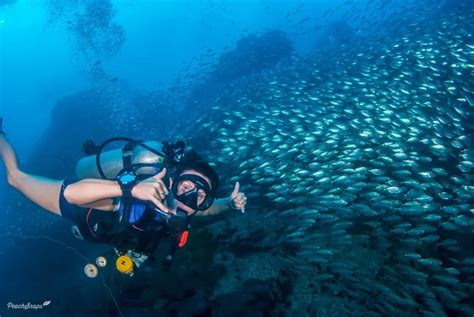 10 Tips On How To Become A Successful Scuba Diving Instructor