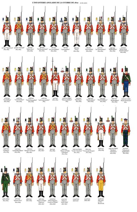 British Line Infantry War Of 1812 Napoleonics British Army