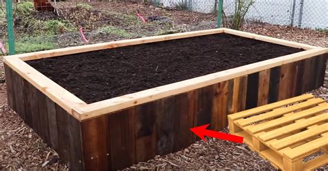How To Make A Pallet Raised Garden Bed Fasci Garden