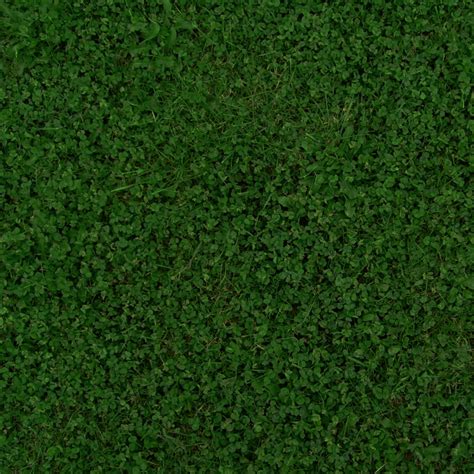 30 Grass Textures Tilable Tileable Grassclovertt7010116 Verydark