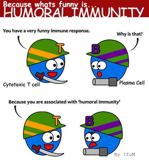 immense immunology insight — before we start with some serious immunology biology humor