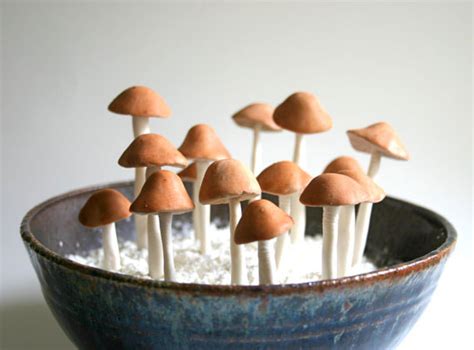 Marvelous Mushrooms Etsy Journal