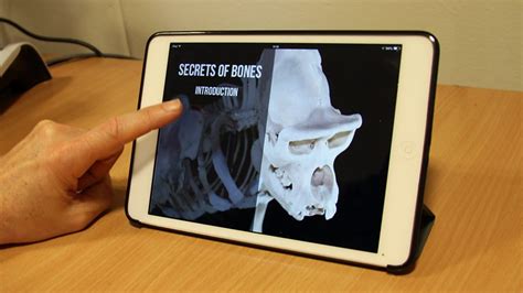 Bbc Four Secrets Of Bones