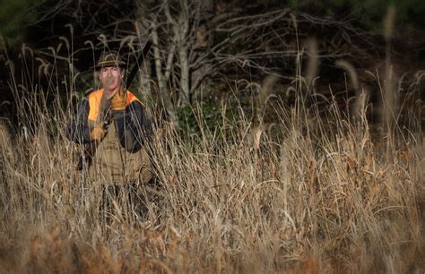 Upland Bird Hunting Dan Routh Photography