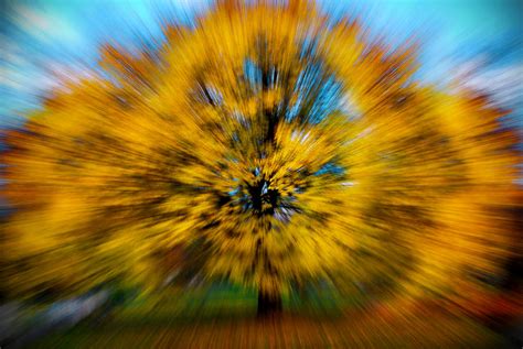 Zooming Autumn Photograph By Viktor Bogdanov