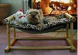 Hammock Beds For Dogs Photos
