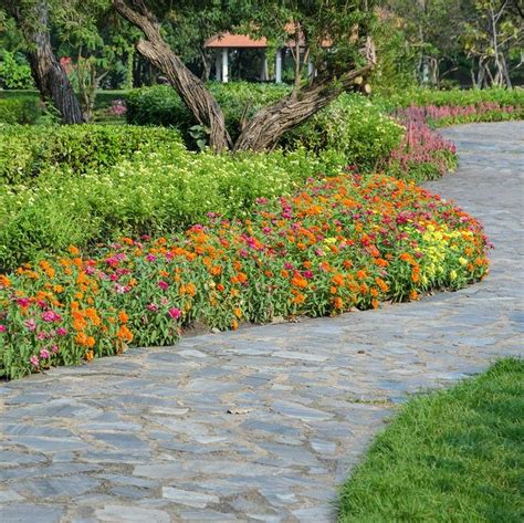 23 Plants That Make For Captivating Walkway Borders Edging Plants