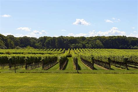 The Best Vineyards And Wineries On Long Island Ny