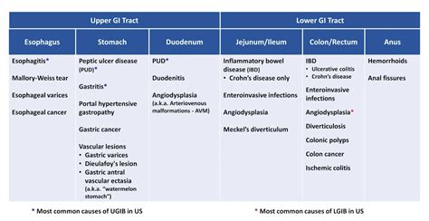 Differential Diagnosis In Upper And Lower Gi Bleed Grepmed