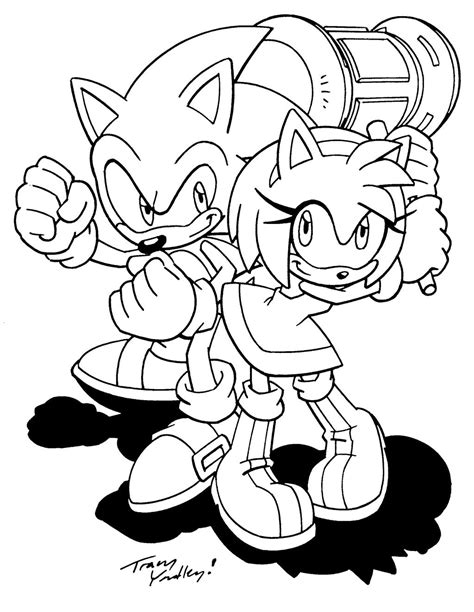 Sonic And Amy By Tracy Yardley By Gamer101 123 On Deviantart