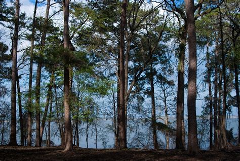 Maybe you would like to learn more about one of these? Three Rivers State Park | Florida Hikes!