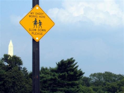 Weird Signs Funny Signs Safe Driving Tips