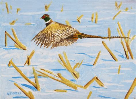 Pheasant winter an original oil of a pheasant in the | Etsy | Original oil, Original oil ...