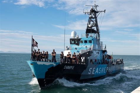 Sea Shepherd Initiates Early Patrols To Safeguard Survival Of