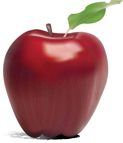 Illustrator Apple By Eriinleigh On Deviantart