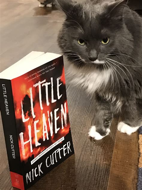 Book Review Little Heaven By Nick Cutter Ive Read This