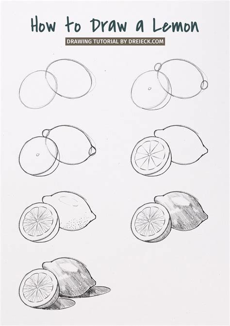 How To Draw A Lemon Step By Step Pencil Drawings For Beginners
