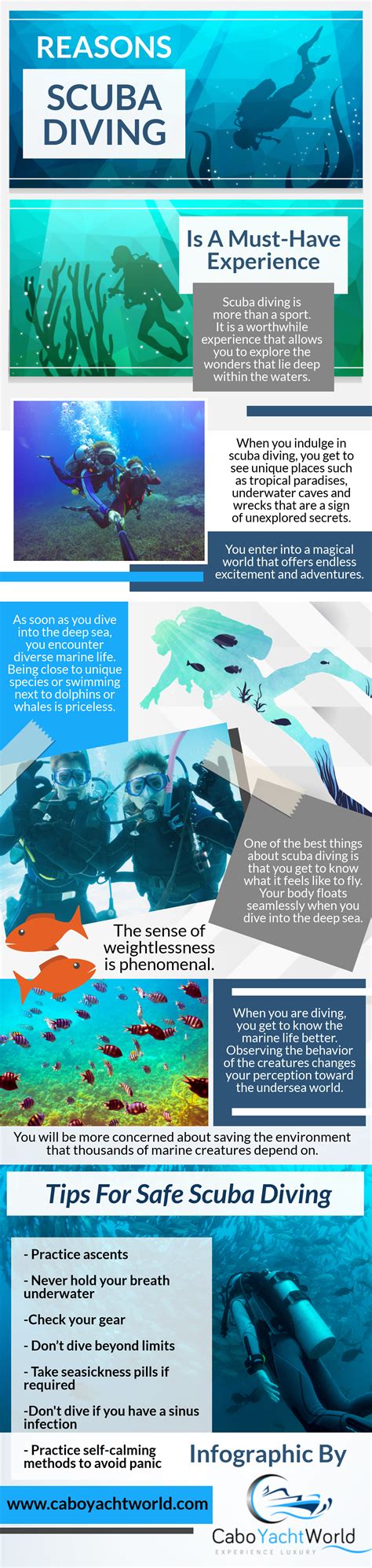 Reasons Why Scuba Diving Is A Must Have Experience