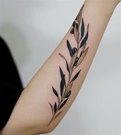 Tattooist Doy Olive Branch Tattoo Tatoo Delicada