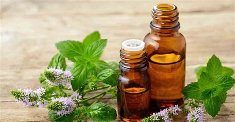 2018, mystery and thriller/action, 1h 42m. Yosher-Dan Peppermint Oil | Afrimash.com - Nigeria