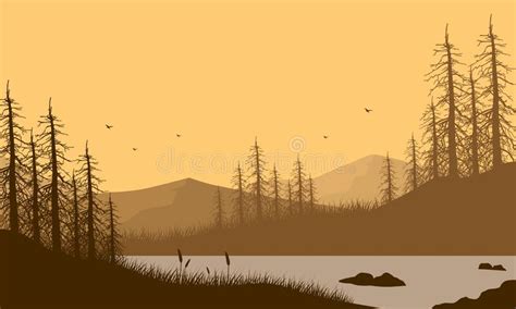 Mountain Views With Magnificent Pine Tree Silhouettes From The River