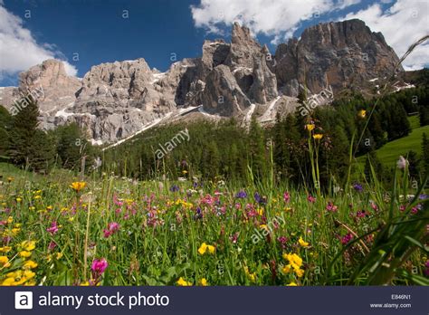 Summer Alpine Meadow Dolomites Mountains Hi Res Stock Photography And