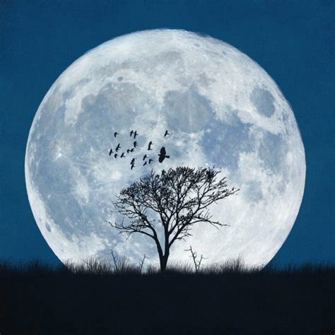 Happy Full Moon Kat Miller Psychic Medium