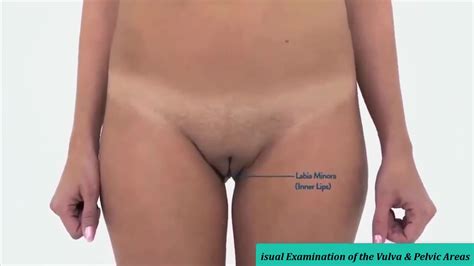 Real Female Anatomy Visual Examination Of The Vulva Pelvic Areas Part Nude Video On Youtube