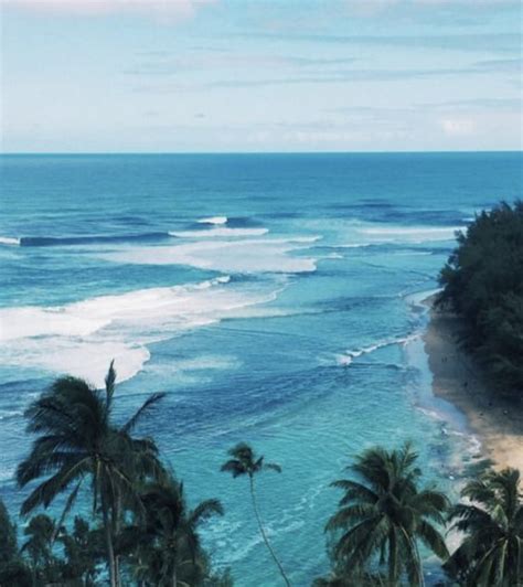 Hawaii Aesthetic Photography Ocean Aesthetic Tropical
