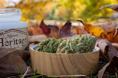 Forbidden Zkittlez - Nature's Heritage : r/bostontrees