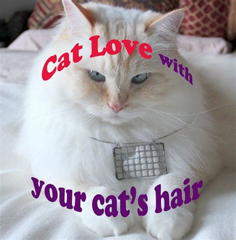 5 Things Made Out Of Cat Hair You Can Actually Buy On Etsy Catster Cats Cat Hair Cat Fur