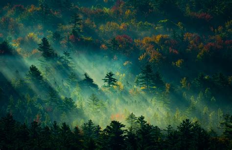 Wallpaper Landscape Mist Fall Usa New Hampshire Sunbeams Nature