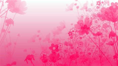 Pink Abstract Wallpapers Images Photos Pictures Backgrounds