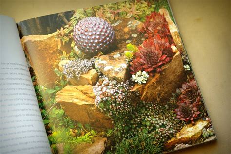 Its Not Work Its Gardening Book Review Hardy Succulents