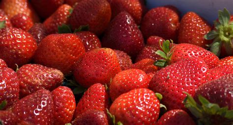 Strawberries For Sale Free Stock Photo Public Domain Pictures