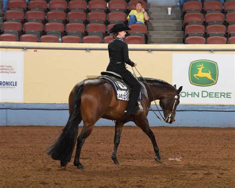 10 Reasons To Enter The 2020 Nutrena Aqha Level 1 Championships Ohio