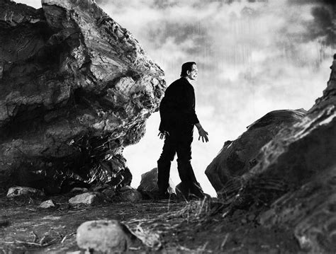 Frankenstein Stills Classic Movies Photo 19760996 Fanpop