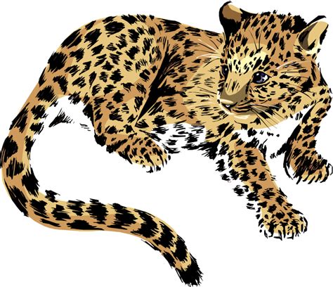 Free Jaguar Clipart