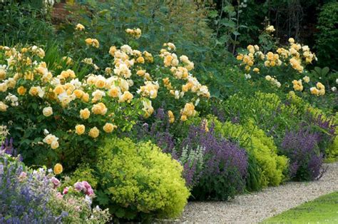 My Favorite Plant Combinations 26 75 Best Planting