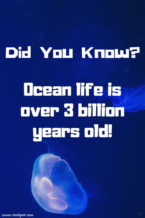 Interesting Facts About Oceans Just Fun Facts Kulturaupice