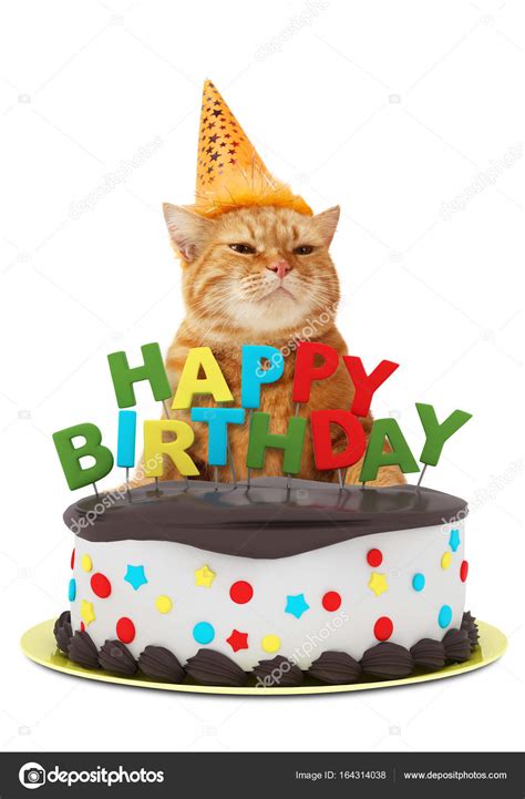 Birthday Funny Cat Funny Cat With Happy Birthday Cake