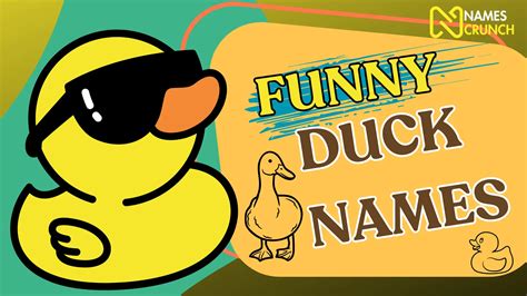 Funny Duck Names Ideas Quack Tastic Humor Names Crunch