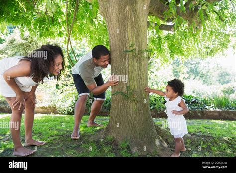 Parents Playing Hide And Seek With Cute Toddler Daughter At Tree Stock