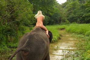 Naked Girl On An Elephant Porn Pic