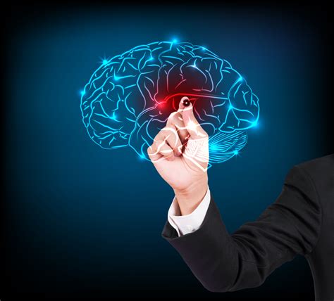 Epilepsy patients have been advised to prioritise regular treatment, said punjab institute of neurosciences (pins) executive director dr khalid mahmood. Epilepsy Causes May be Understood with New Virtual Brain