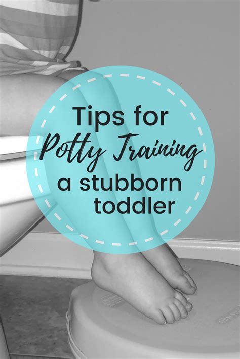 Potty Training Week 1 What Weve Learned What Has Worked Poppy