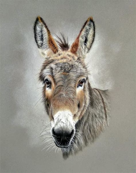 Donkey By Lin A Art On Deviantart Farm Animal Paintings Animal Art