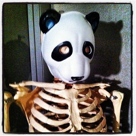 Oh I Get It Its A Skeleton With A Panda Bear Mask That Flickr