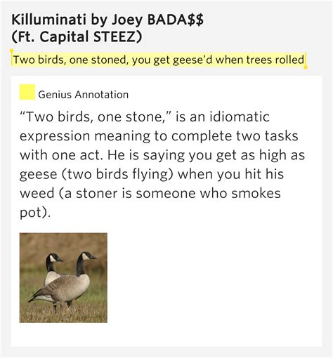 Two Birds One Stoned You Get Geesed When Trees Rolled Killuminati