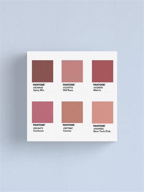 Pink Nude Palette Pantone Color Swatch Canvas Print For Sale By